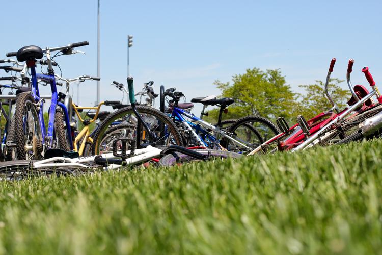 Tour de France? No! It's The Tour de Grove!