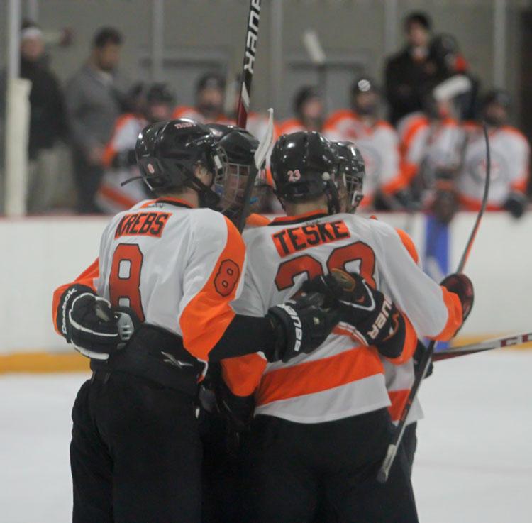 Tiger Ice Hockey Seeks Success