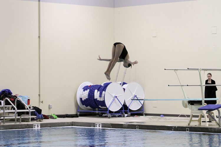 Tiger diver Taylor Seilheimer dives in during the sectional meet at CFAC last season. 