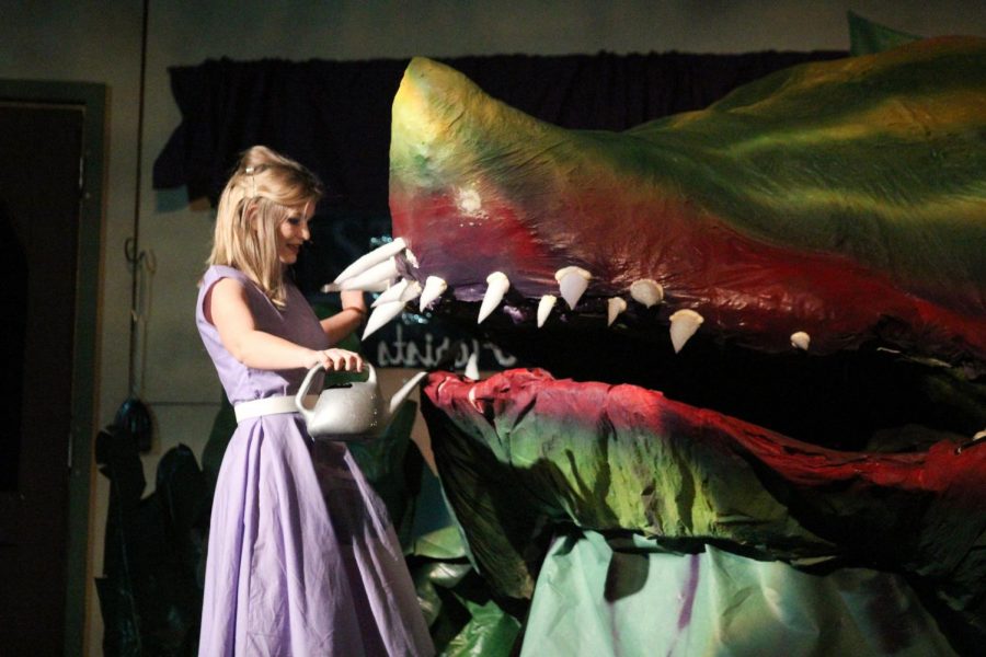 Audrey (senior Riley Stroehmer) feeds Audrey 2, a carnivorous plant. 