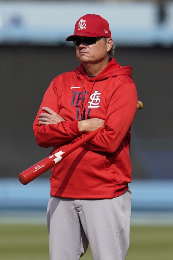 Former Cardinals manager Mike Shildt stands watch at a game