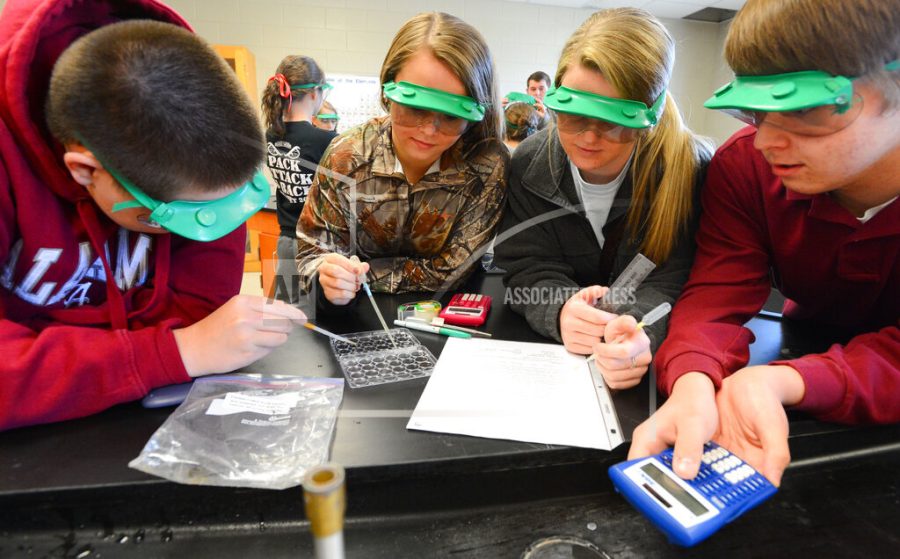 Austin Terry, Destiny Jones, Abigail Shelton and Hunter Cross work in an advanced placement chemistry class at Lawrence County High School Thursday, Jan. 30, 2014 in Moulton, Ala. The Lawrence County School system added the advanced placement classes this year after having to drop them in 2009 due to proration.  (AP Photo/The Decatur Daily, Gary Cosby Jr.)
