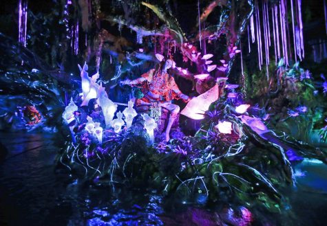 The Navi Shaman of Songs celebrates with music in Navi River Journey ride at Pandora-World of Avatar land attraction in Disneys Animal Kingdom theme park at Walt Disney World in Lake Buena Vista, Fla.