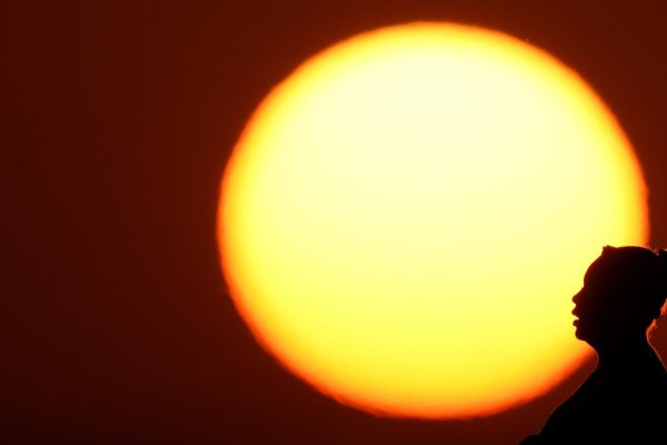 Staggering Heat Hits Tigers Hard
