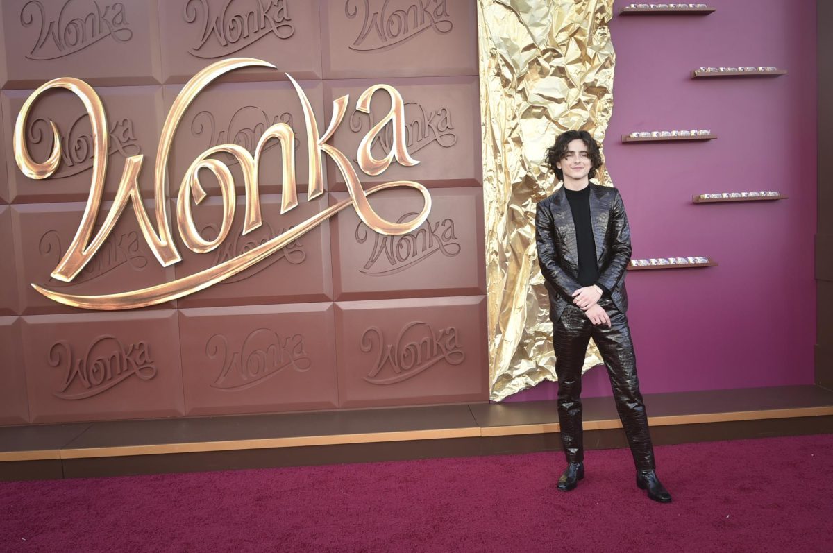 Timothee Chalamet at the Wonka premiere on Dec. 10, 2023.