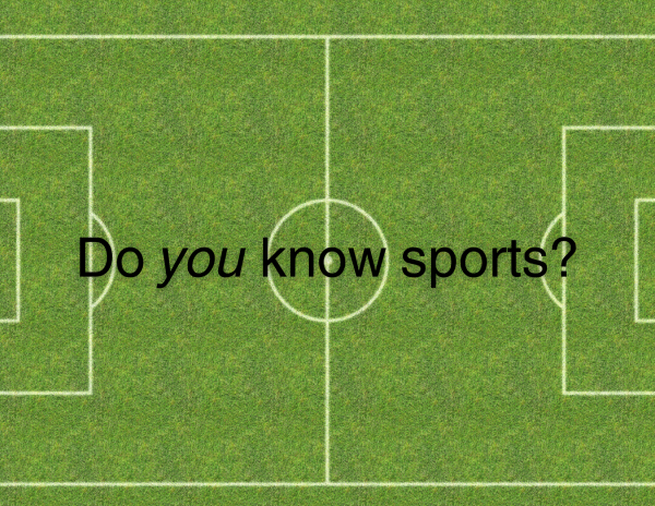 Beginners Guide To Sports
