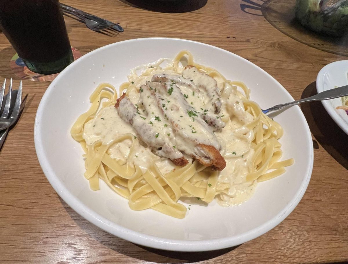 Olive Gardens crispy chicken fettucini, one of their most popular pasta dishes.