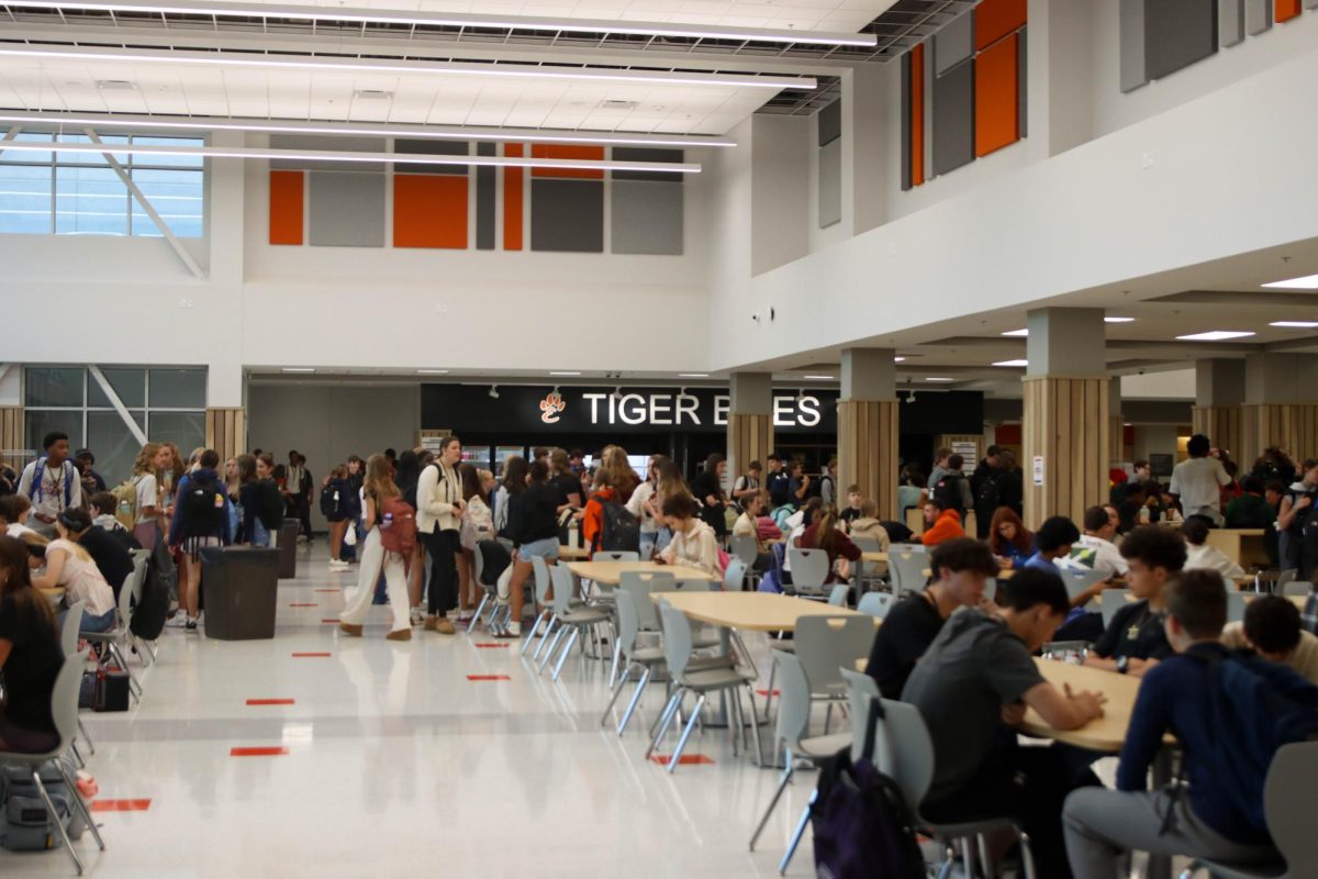 EHS sports new look, renovations divide students