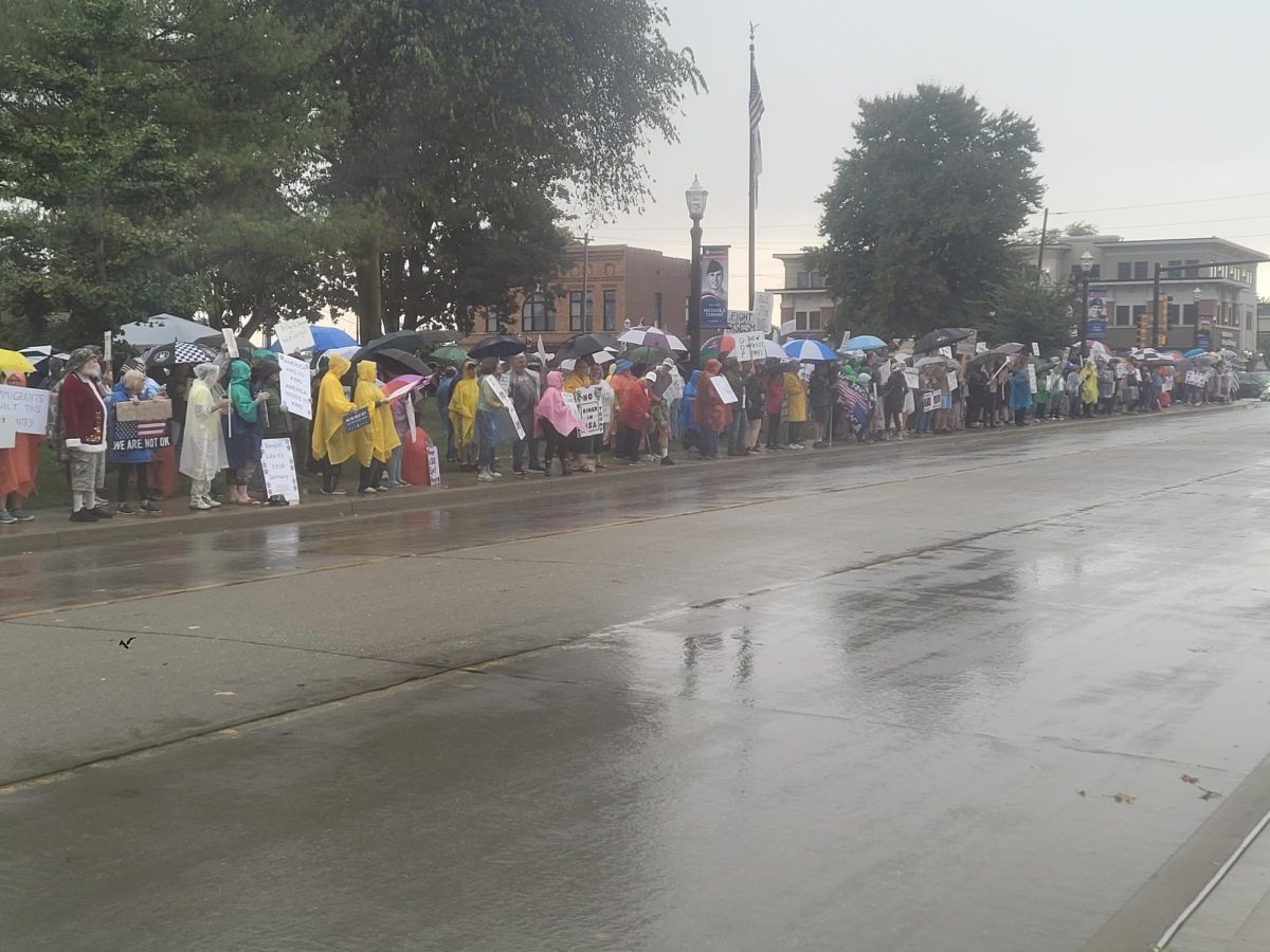 No Kings Day protests occur in Edwardsville, across America